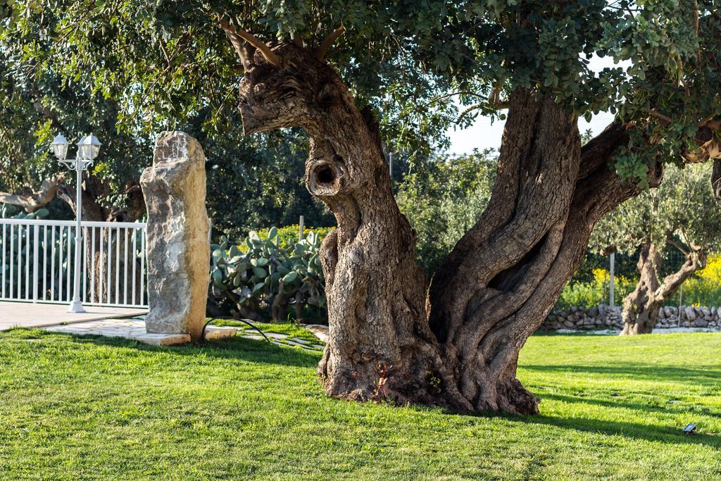 Appartement Il Giardino Dei Frangipani à Santa Croce Camerina Extérieur photo